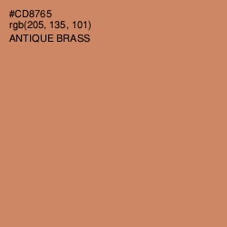 #CD8765 - Antique Brass Color Image